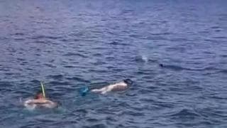 Erfahrene Sporttaucher haben Sex