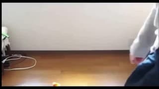 Bestätigen Sie Ihr Alter