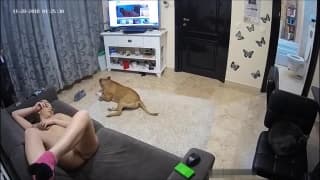 Er rauchte eine Zigarette und begann sie zu ficken