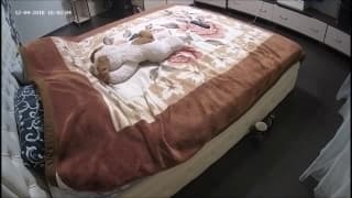 Grace genießt es, ihre Sextoys im Bett zu benutzen