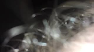 Bestätigen Sie Ihr Alter