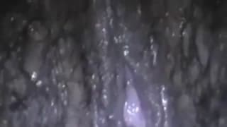 Hübsches schwarzes Mädchen mag große Stangen Hübsches schwarzes Mädchen mag große Stangen
