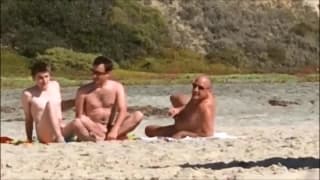 Amateurschwule an den öffentlichsten Orten