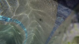 Bestätigen Sie Ihr Alter