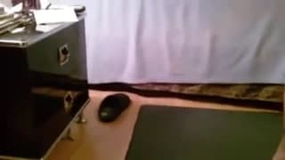 Hausgemachtes Video mit geilem schwarzen Paar