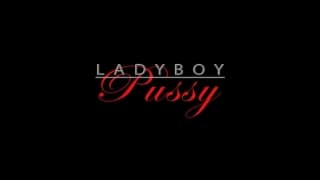 Der Penis dringt in ihre neue sexy Vagina ein Der Penis dringt in ihre neue sexy Vagina ein