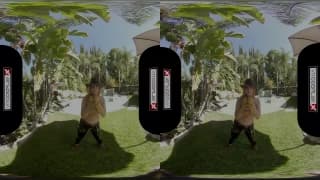 Eine virtuelle Realität bringt Sie vom Garten ins Beet Eine virtuelle Realität bringt Sie vom Garten ins Beet