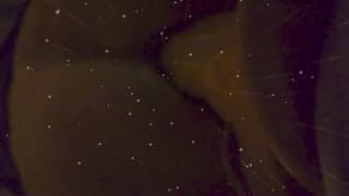 Ich wichse meinen Schwanz ohne zu viel Kraft