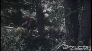Der Typ spielt mit seinem Schwanz unter einem Baum Der Typ spielt mit seinem Schwanz unter einem Baum