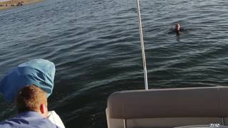 Bestätigen Sie Ihr Alter