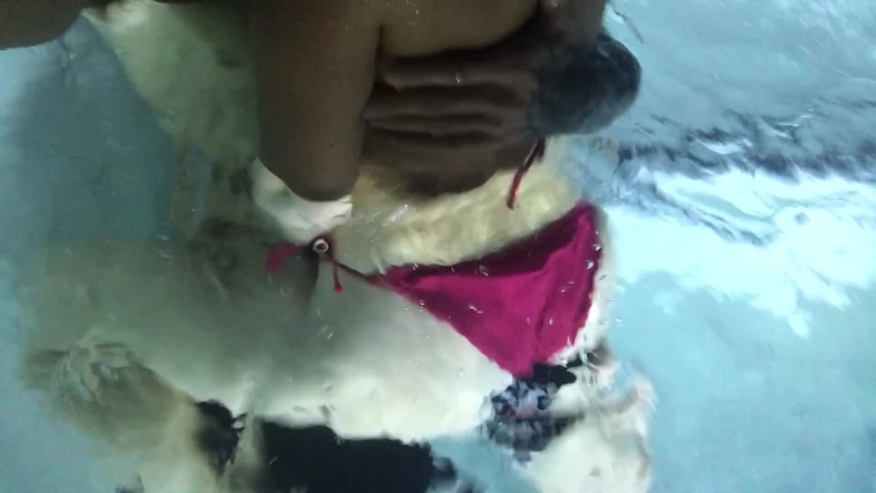 Bestätigen Sie Ihr Alter