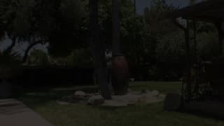 Bestätigen Sie Ihr Alter