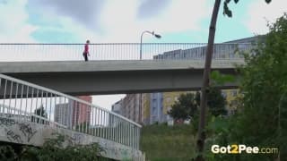 Der Stock steht auf der Brücke und pinkelt im Stehen Der Stock steht auf der Brücke und pinkelt im Stehen