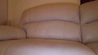 Eine geile Transe, die seinen Schwanz zu Hause genießen will