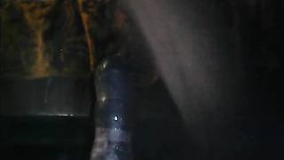 Haariger schwuler Mann sitzt auf seinem großen Sextoy Haariger schwuler Mann sitzt auf seinem großen Sextoy