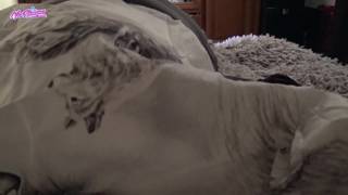 Die schöne Victoria Alouqua hat Oralsex und fickt