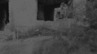 Es wird so köstlich sein, die Muschi dieser vollbusigen zu nageln