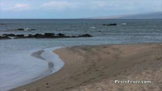 Junger Mann sonnt sich nackt am hawaiianischen Strand Junger Mann sonnt sich nackt am hawaiianischen Strand