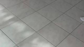 Bestätigen Sie Ihr Alter