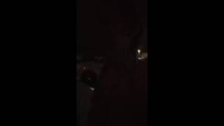 Louisse lobt vor Freude das Leben, indem sie im Dunkeln in einem Auto einen Schwanz lutscht