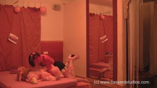 Cassy Cassard geht gerne mit einer Transenfreundin ins Bett