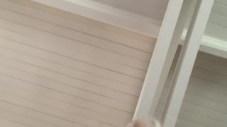 Bestätigen Sie Ihr Alter