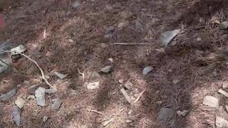 Bestätigen Sie Ihr Alter