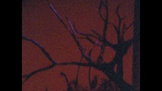 Bestätigen Sie Ihr Alter